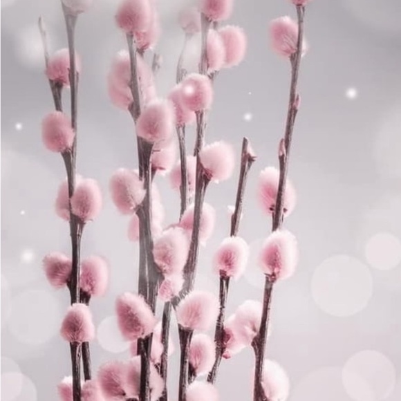 willowswhimsy
